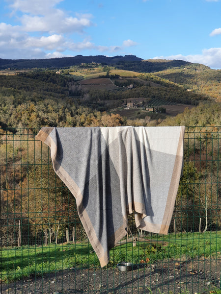 20231129_142744_grande.jpg?v=