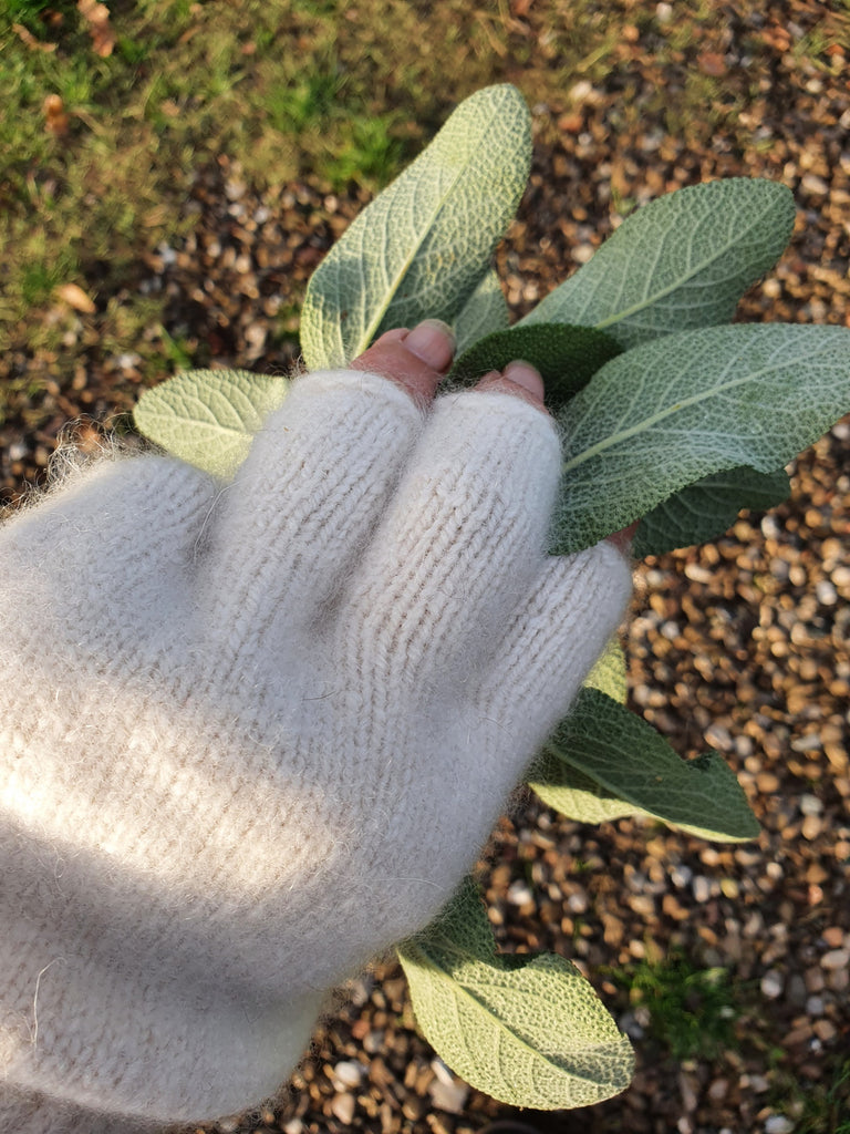3 100% CASHMERE GLOVES & MITTENS
